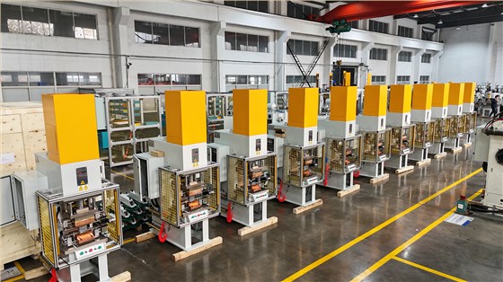 DJI_20241226094633_0261_D